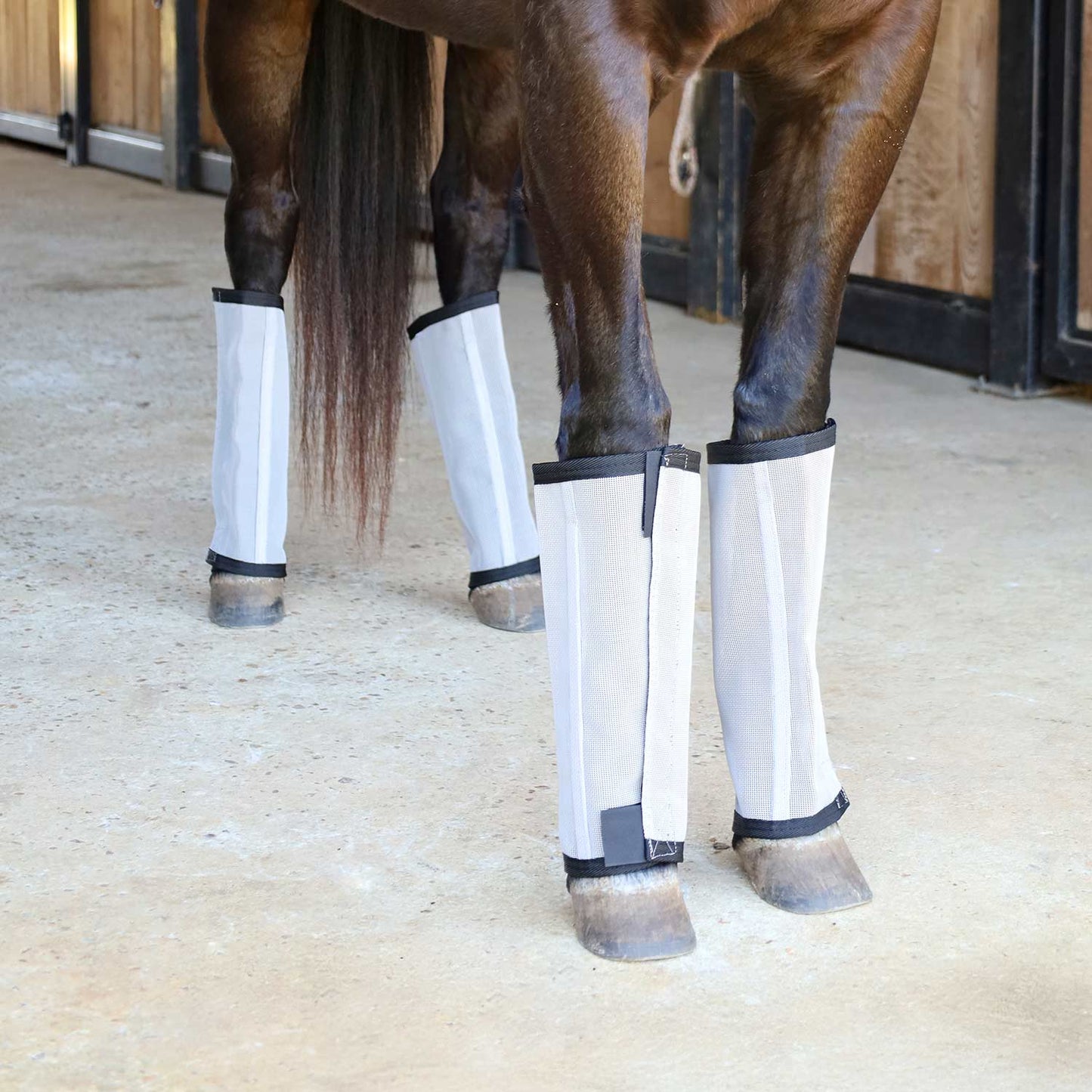 Botas "Stomp-Free" para moscas Jeffers Romper Stomper para caballos, paquete de 4