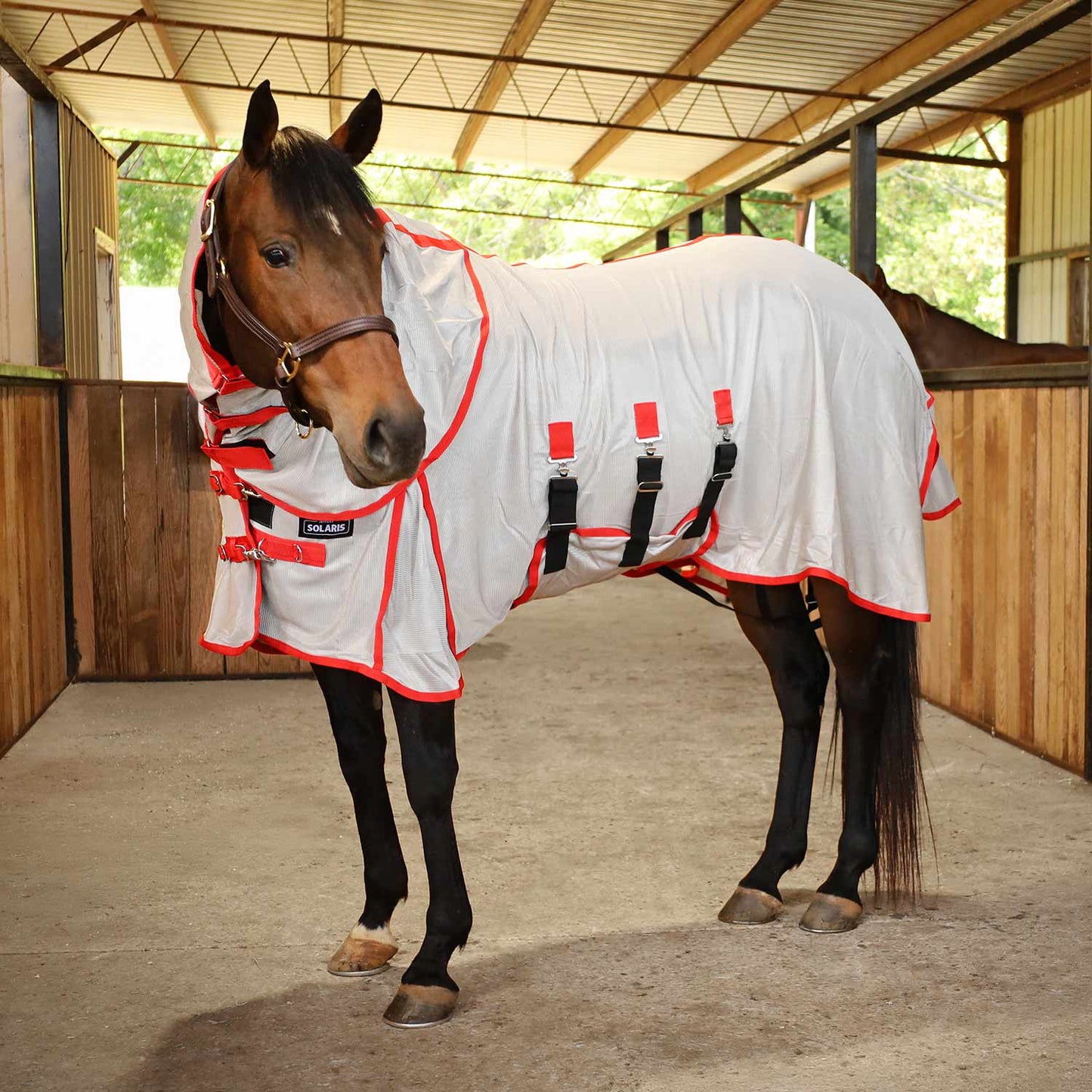 Manta antimosquitos Jeffers Solaris con cuello desmontable, gris y rojo