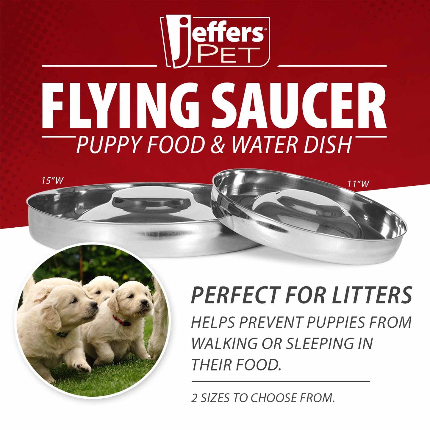 Cuenco volador de acero inoxidable Jeffers para comida y agua para cachorros