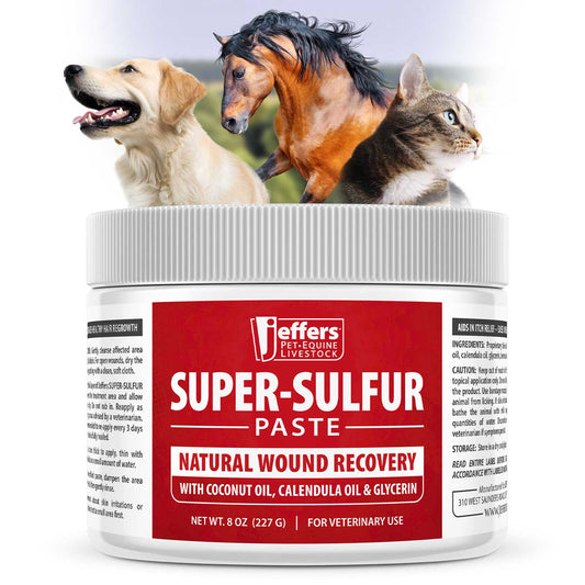 Pasta Jeffers Súper-Azufre para Piel y Curación de Heridas para Mascotas, Caballos y Ganado