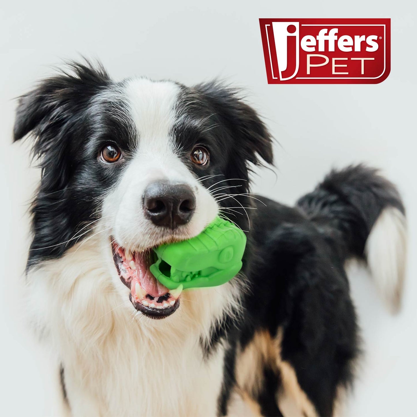 Juguete masticable dental Jeffers T-Rex de caucho natural para dispensar golosinas para masticadores medianos con aroma a vainilla