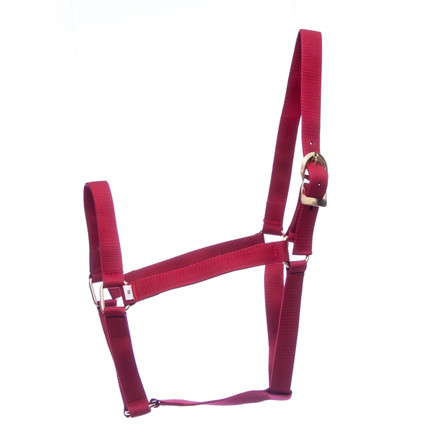 Cabestros de nailon de 2 capas de 1 pulgada Jeffers Turnout para caballos