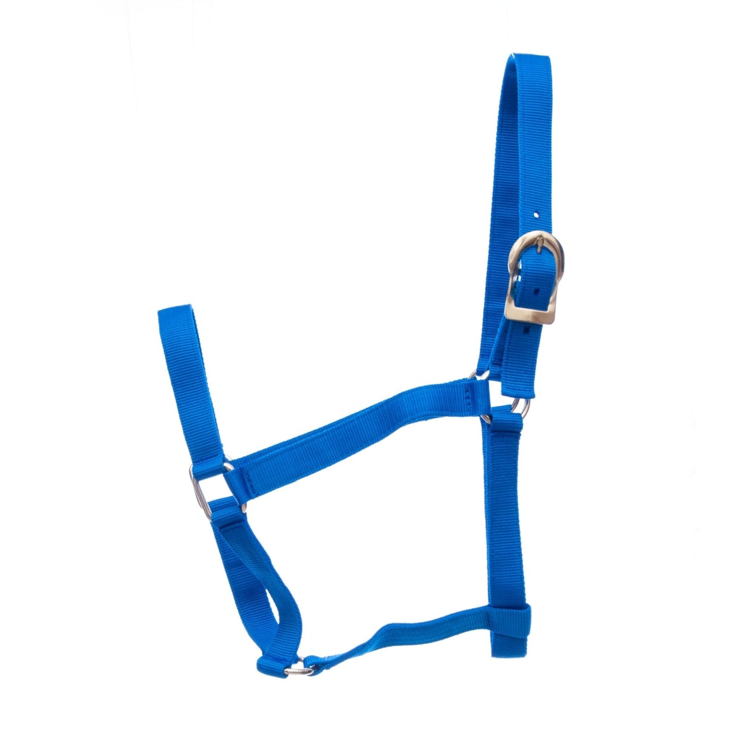 Cabestros de nailon de 2 capas de 1 pulgada Jeffers Turnout para caballos