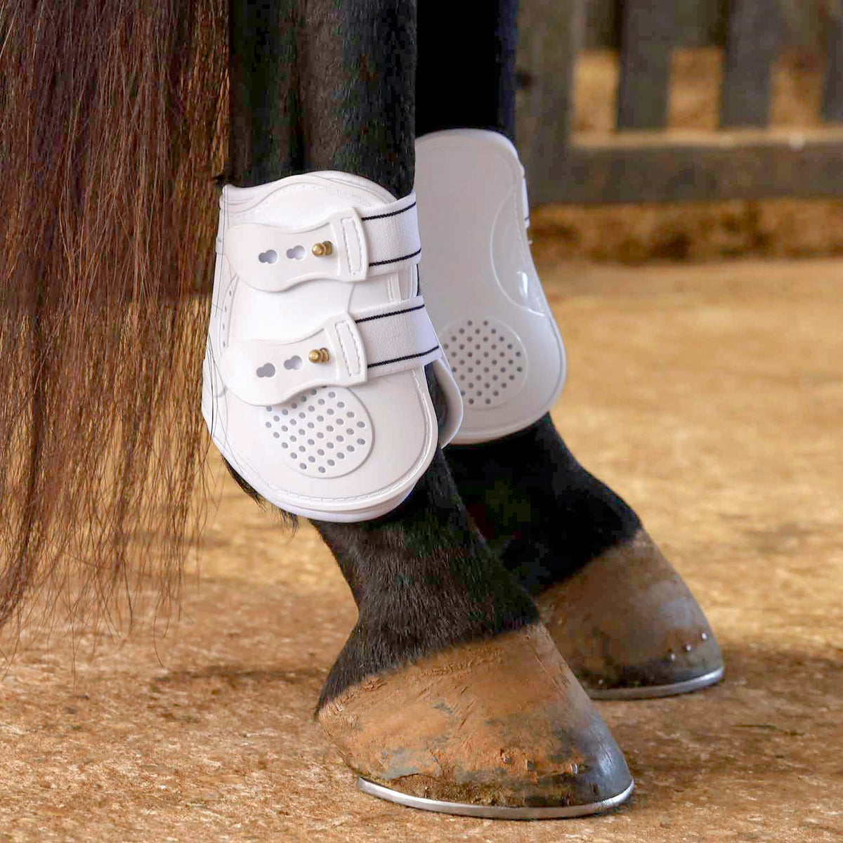 Botas de menudillo Jeffers Uniquely English para caballos, paquete de 2