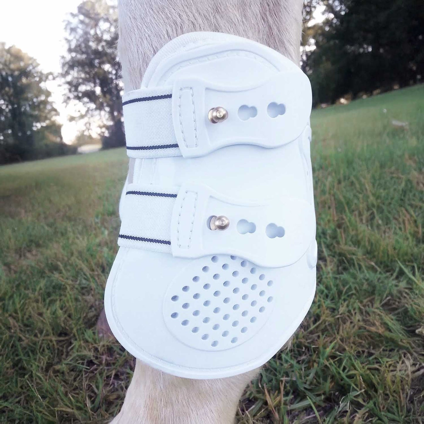Botas de menudillo Jeffers Uniquely English para caballos, paquete de 2