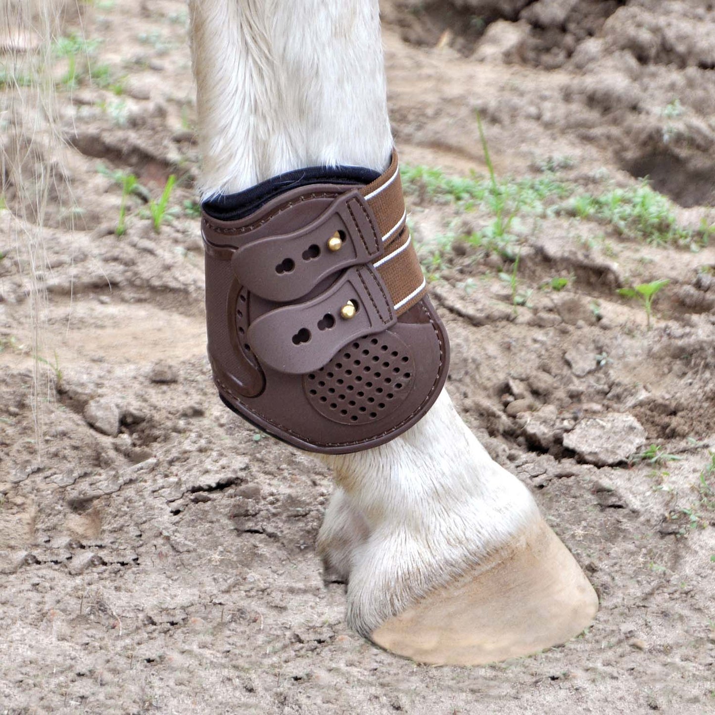 Botas de menudillo Jeffers Uniquely English para caballos, paquete de 2
