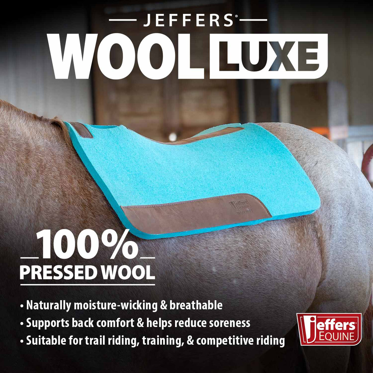 Manta de Silla de Montar Jeffers WoolLuxe 100% Lana Equina – Acolchada, Transpirable y Amortiguadora