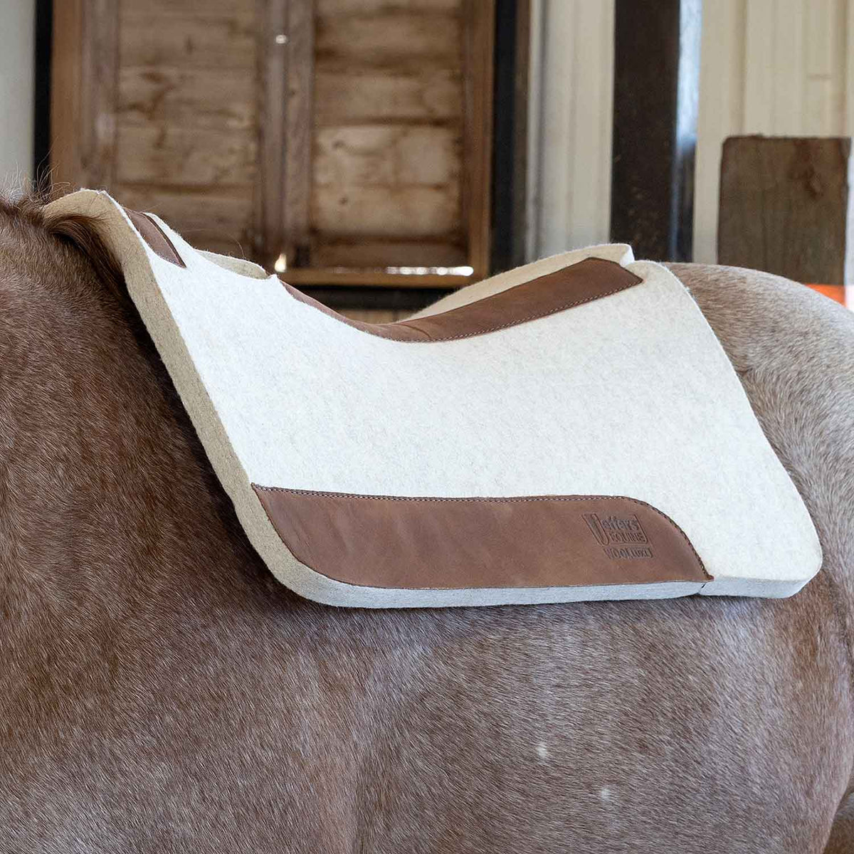 Manta de Silla de Montar Jeffers WoolLuxe 100% Lana Equina – Acolchada, Transpirable y Amortiguadora