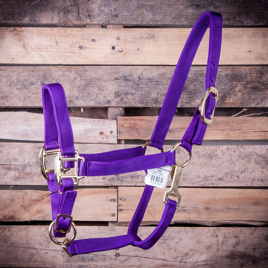 Cabestro Jeffers Ajustable con Broche en la Garganta