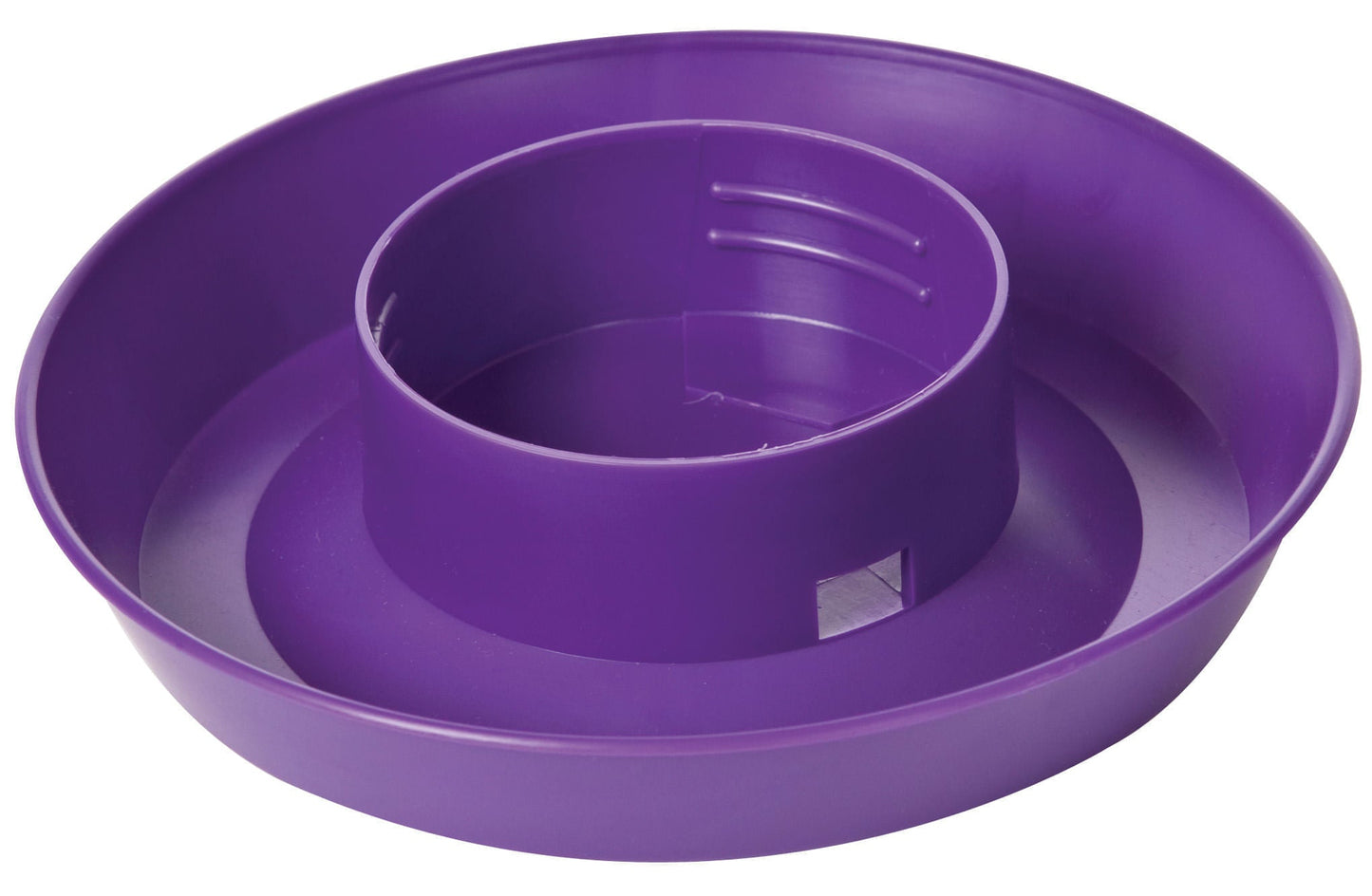 Little Giant Comedero y bebedero para pollos de 1 cuarto de galón – Tarro y base de plástico enroscables (se venden por separado)