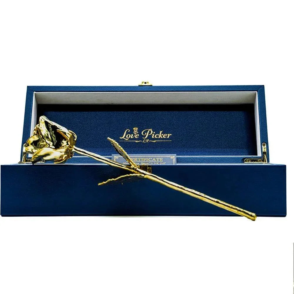 24K Gold Dipped Natural Rose 11.5" - Midnight Blue