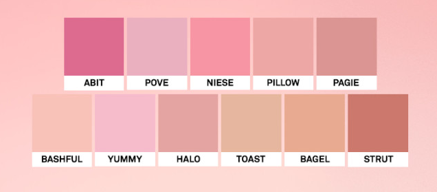 NAMING Fluffy Powder Blush 3.2g (10color)