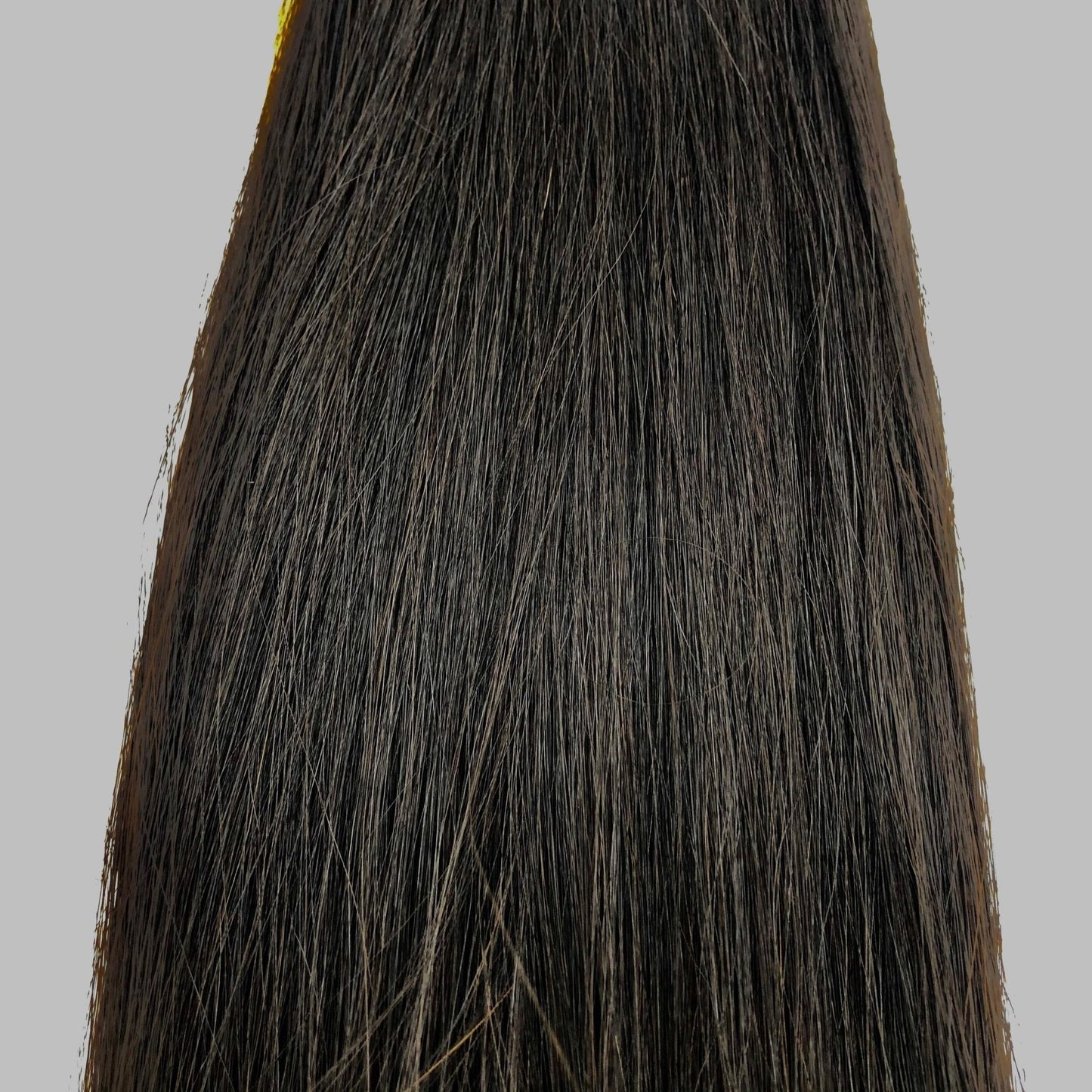 Narcia Remy Siberian - Micro Ring - 24"