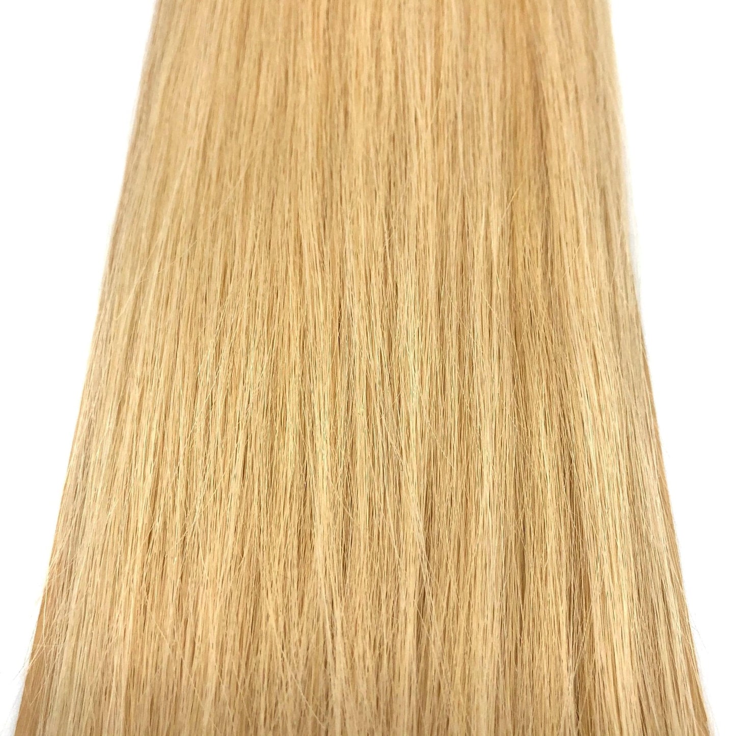 Narcia Remy Siberian - Micro Ring - 24"