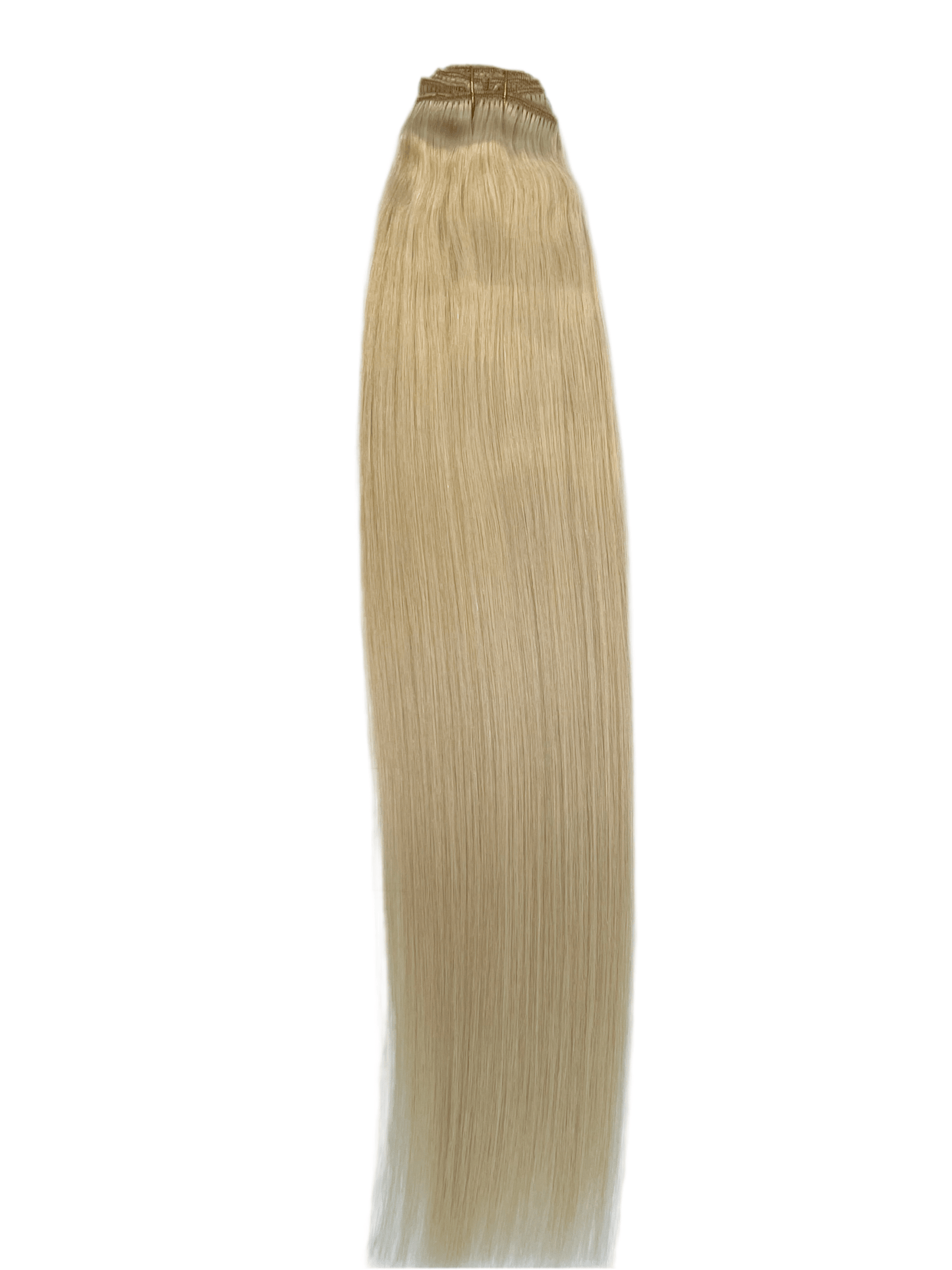 VIP Clip Extensions / Silky Straight 24" (170 g) - ClipeX System