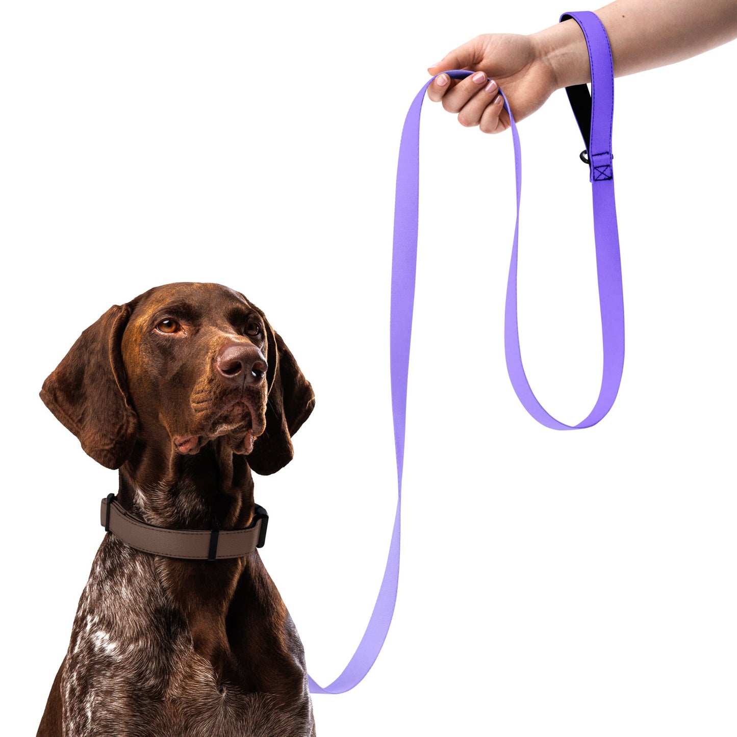 CalmCaressASMR Leash