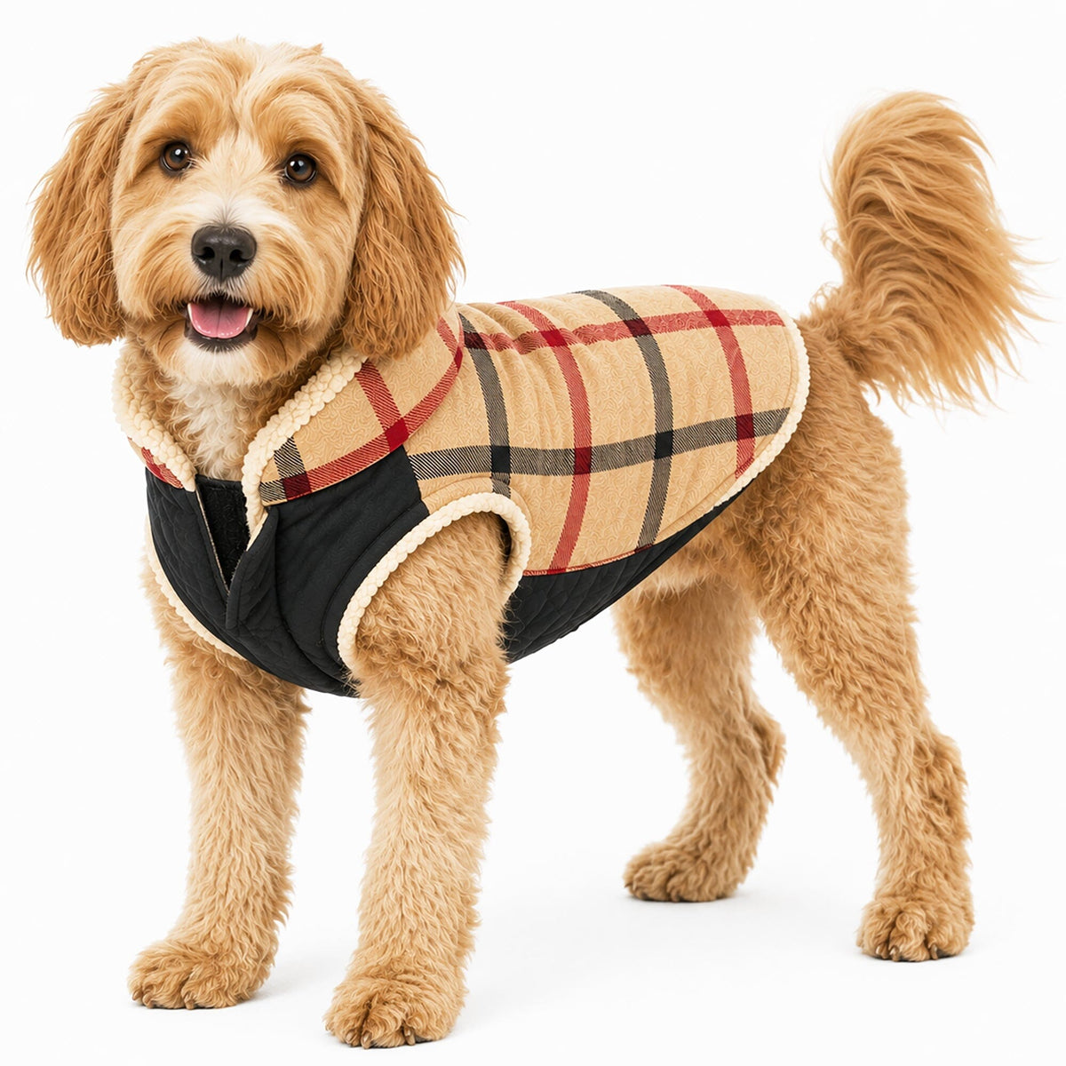 Chaqueta de perro Pet Life® 'Allegiance' de moda clásica a cuadros con aislamiento