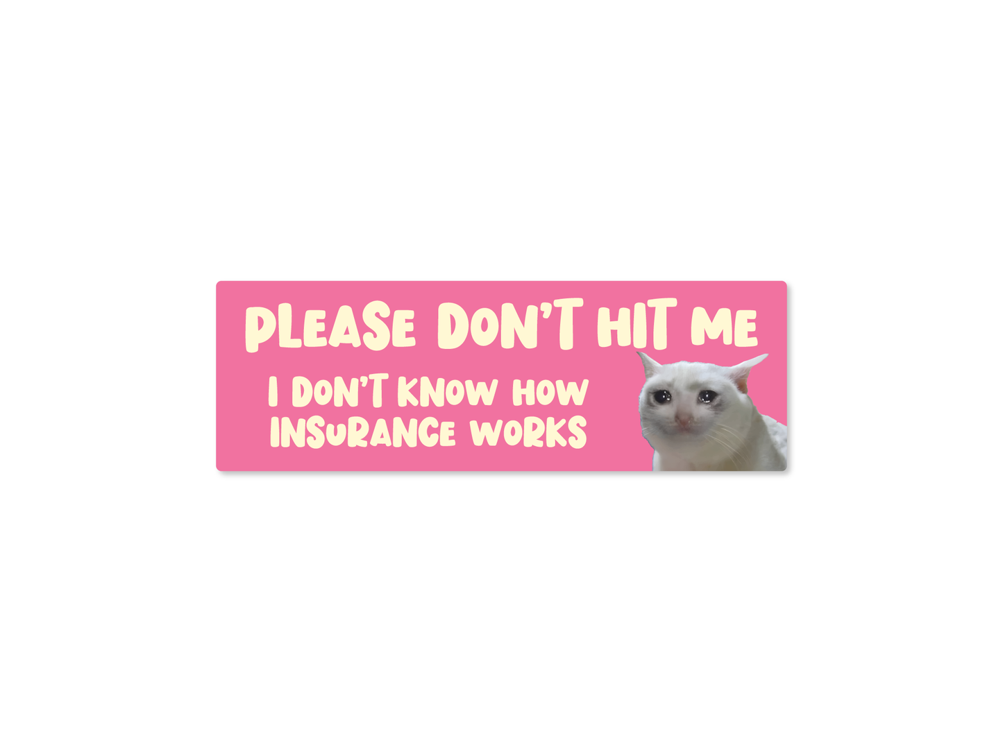 Please Don’t Hit Me, I Don’t Know How Insurance Works Cat Funny Bumper Sticker or Magnet