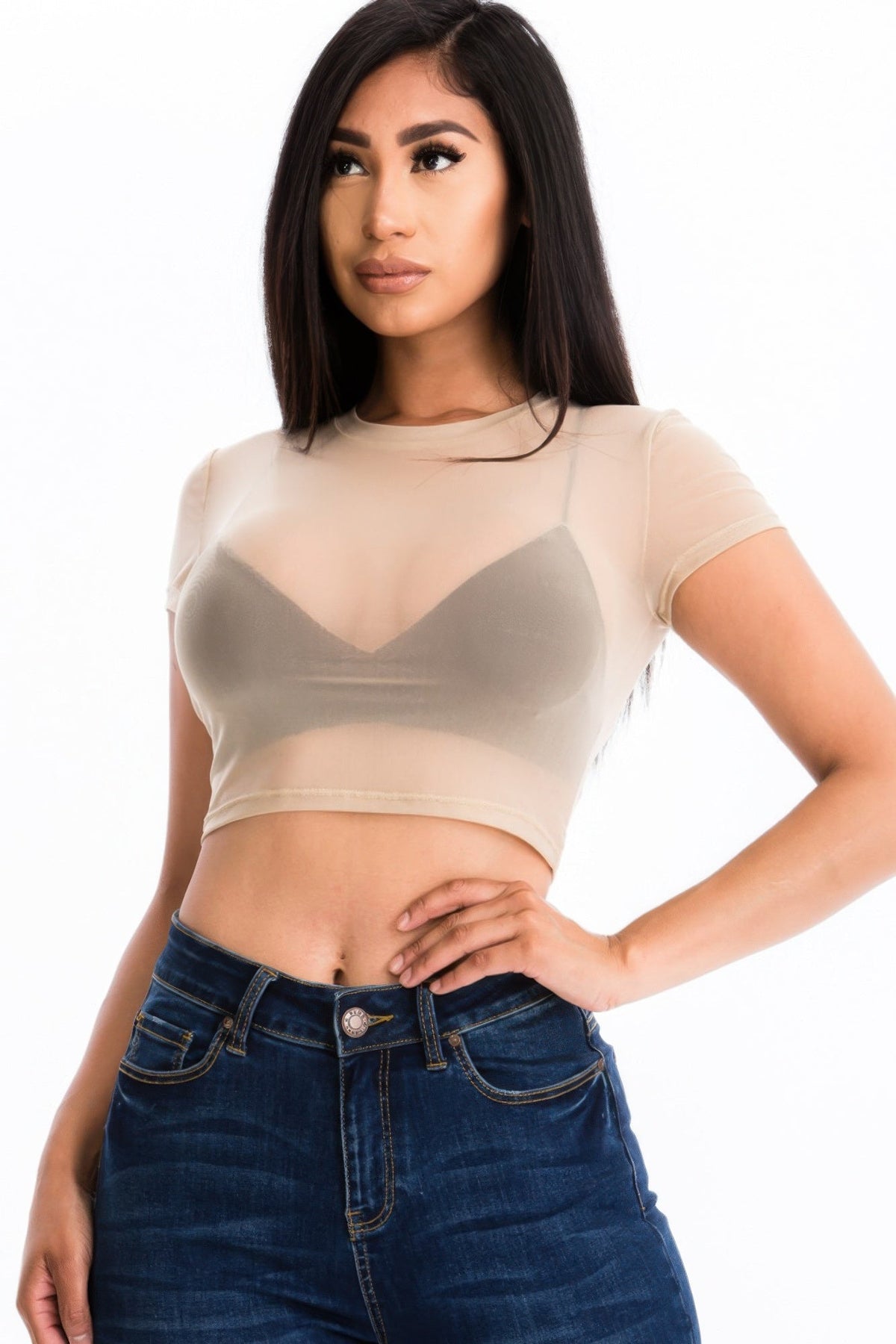 Sheer Intentions Mesh Crop Top