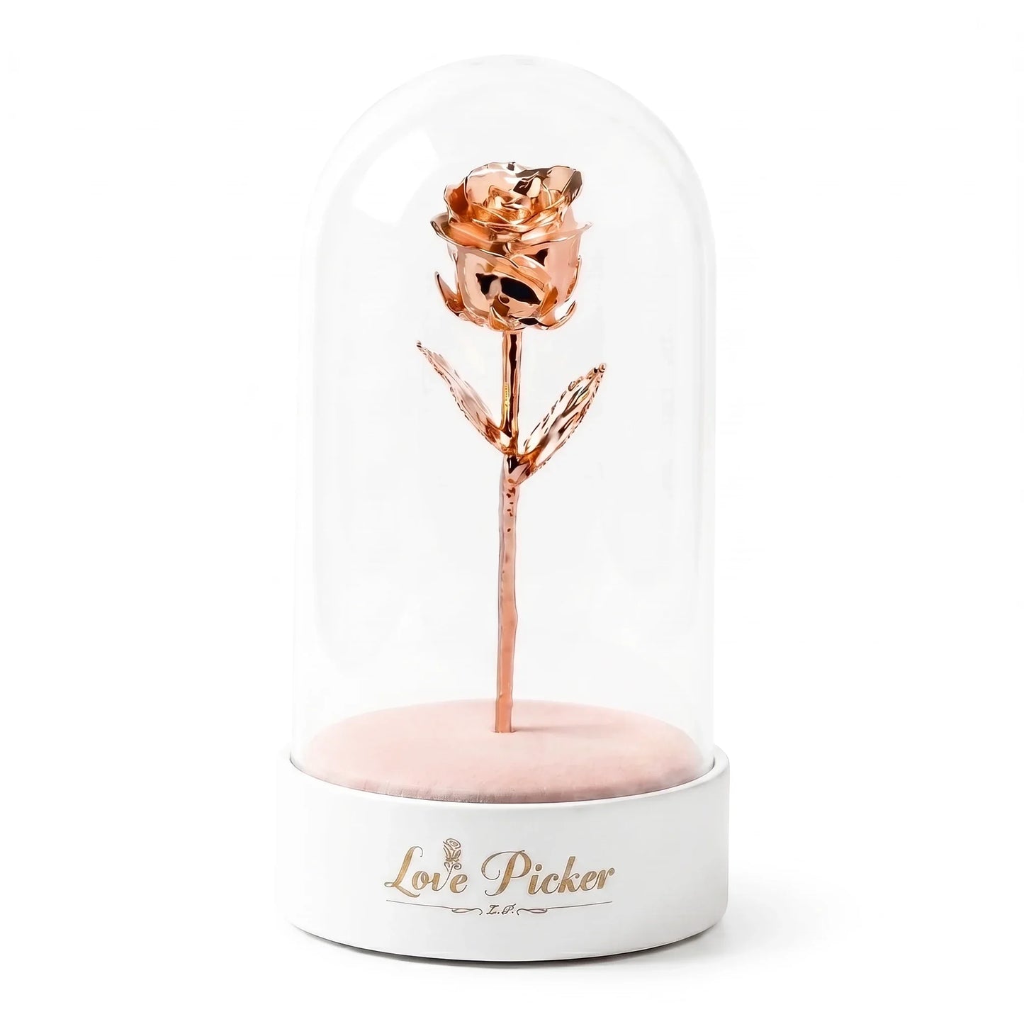 Signature Clear 7” Rose Dome