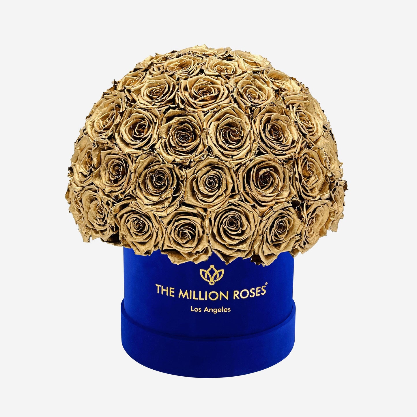 Caja Superdome de gamuza azul real clásica | Rosas doradas