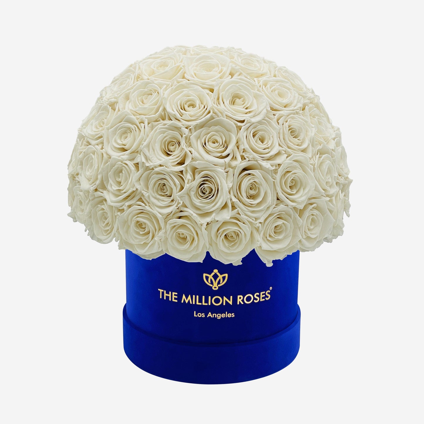Caja Superdome de gamuza azul real clásico | Rosas blancas