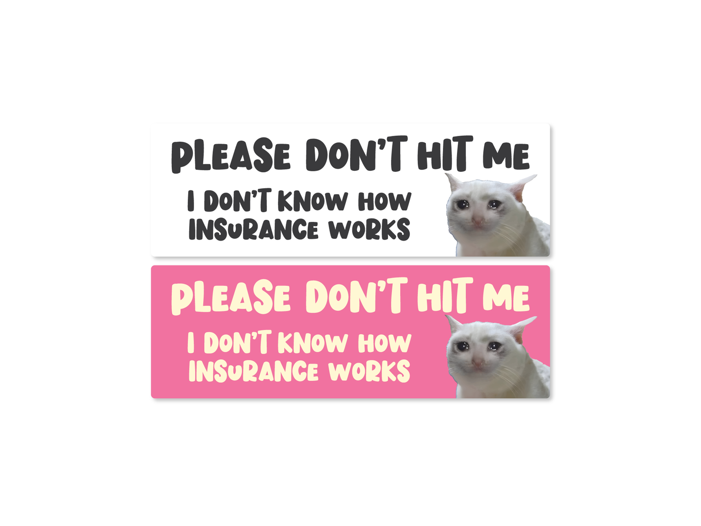 Please Don’t Hit Me, I Don’t Know How Insurance Works Cat Funny Bumper Sticker or Magnet