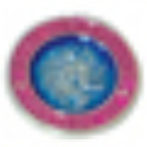 Beach Saint St. Christopher Necklace Medal - Small/Nickel Size