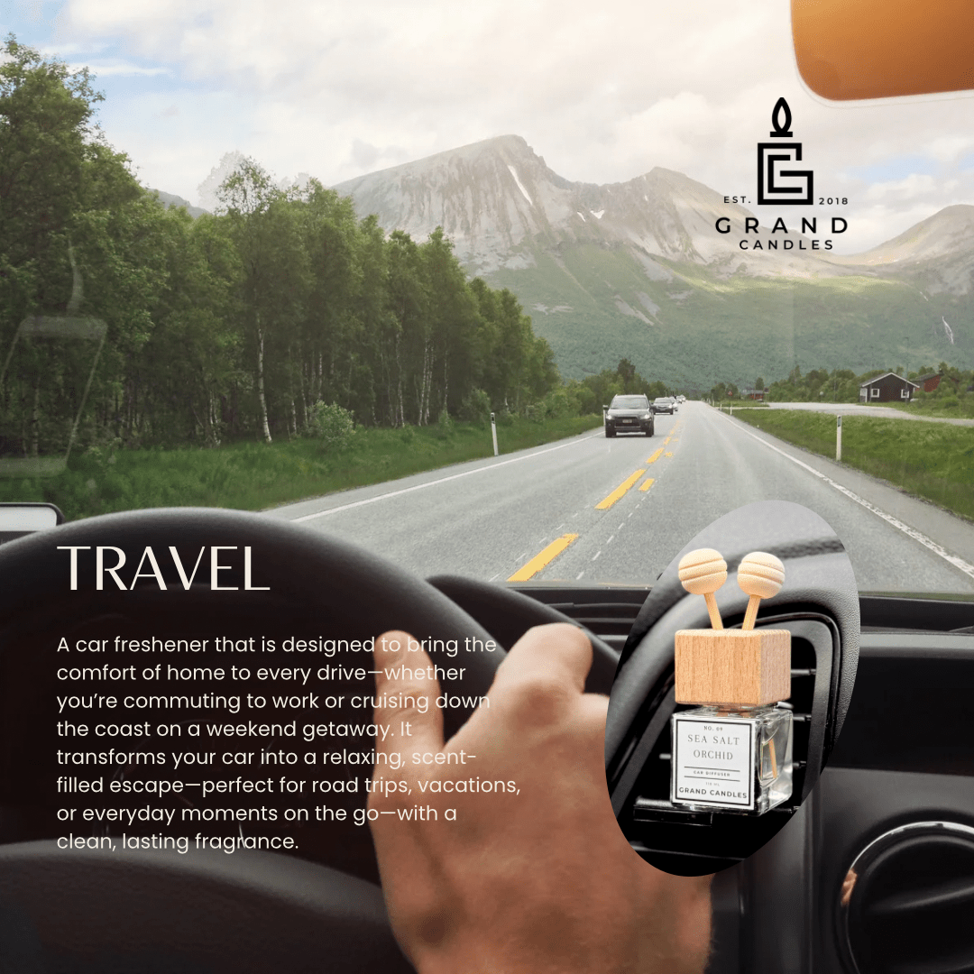 White Eucalyptus Car Diffuser