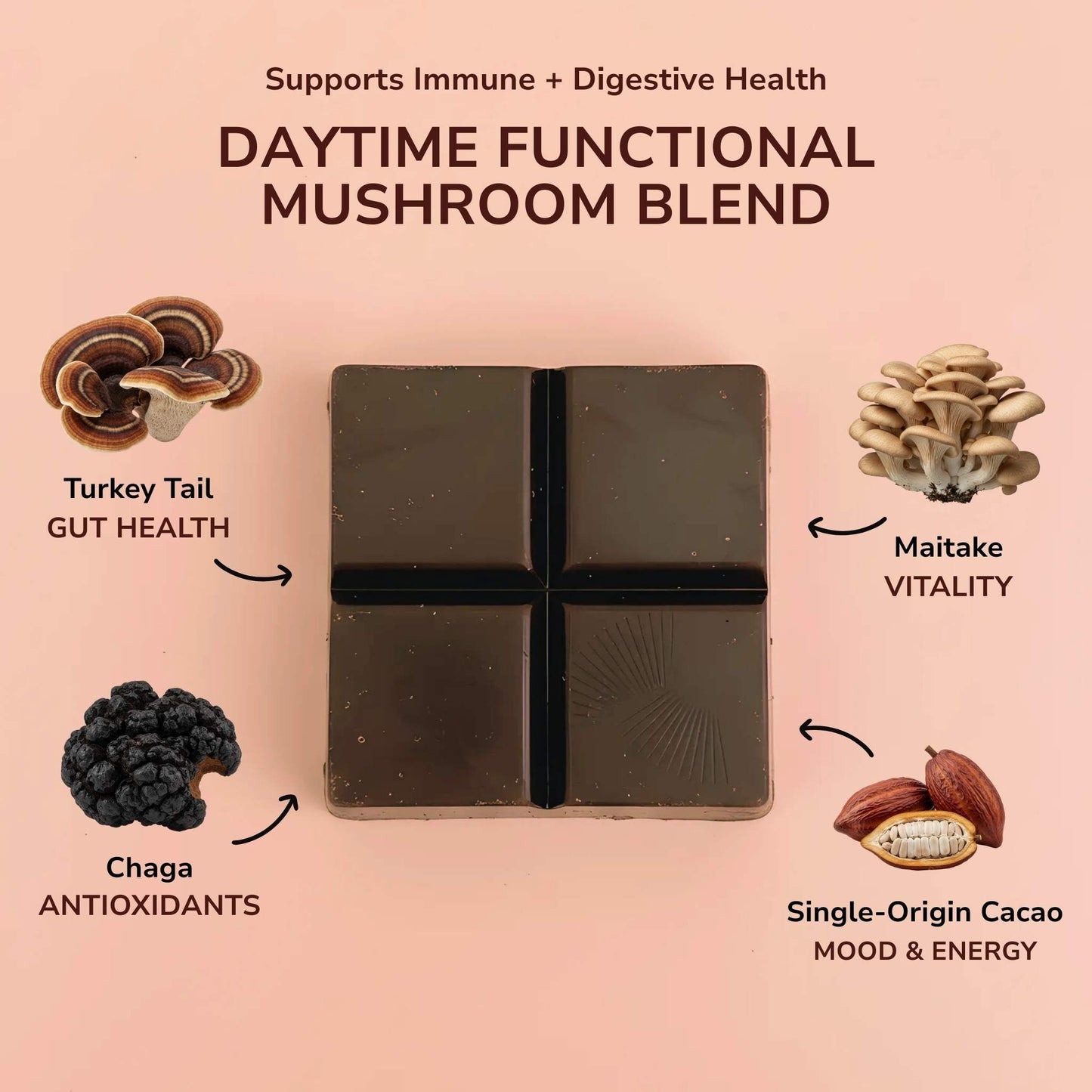 Forest Reserve™ Turkey Tail, Maitake, & Chaga Mushroom Chocolate Squares