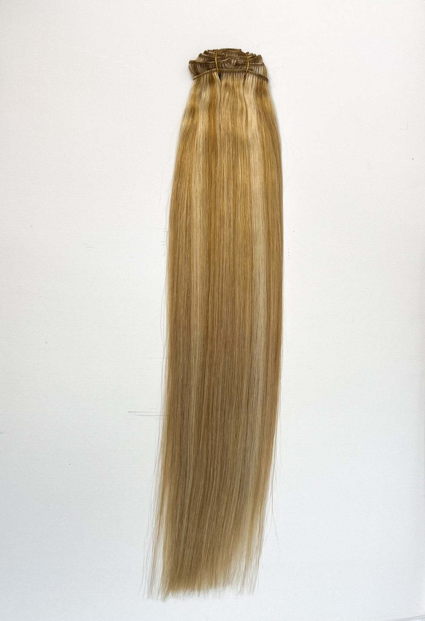 VIP Clip Extensions / Silky Straight 24" (170 g) - ClipeX System
