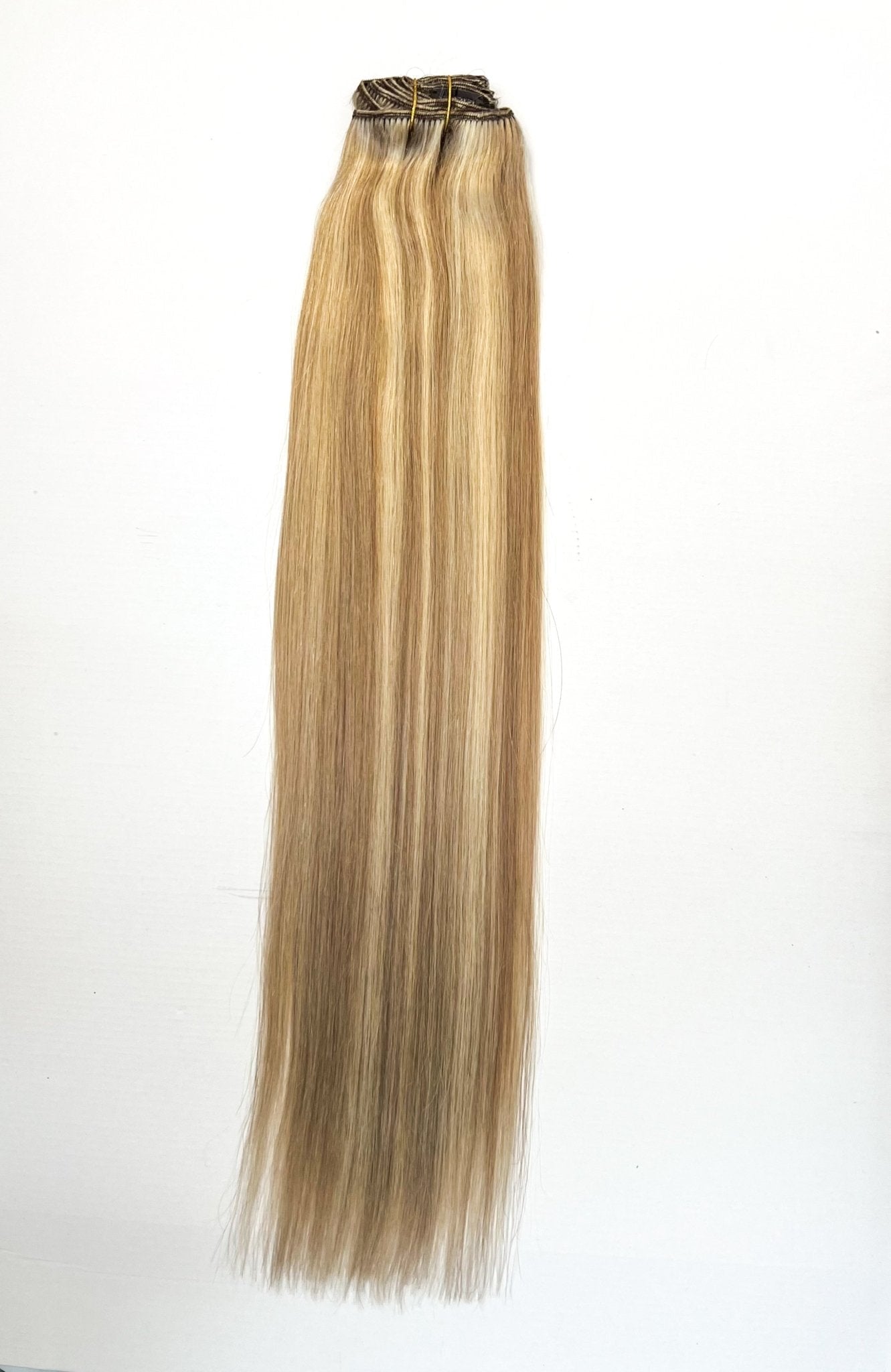 VIP Clip Extensions / Silky Straight 24" (170 g) - ClipeX System