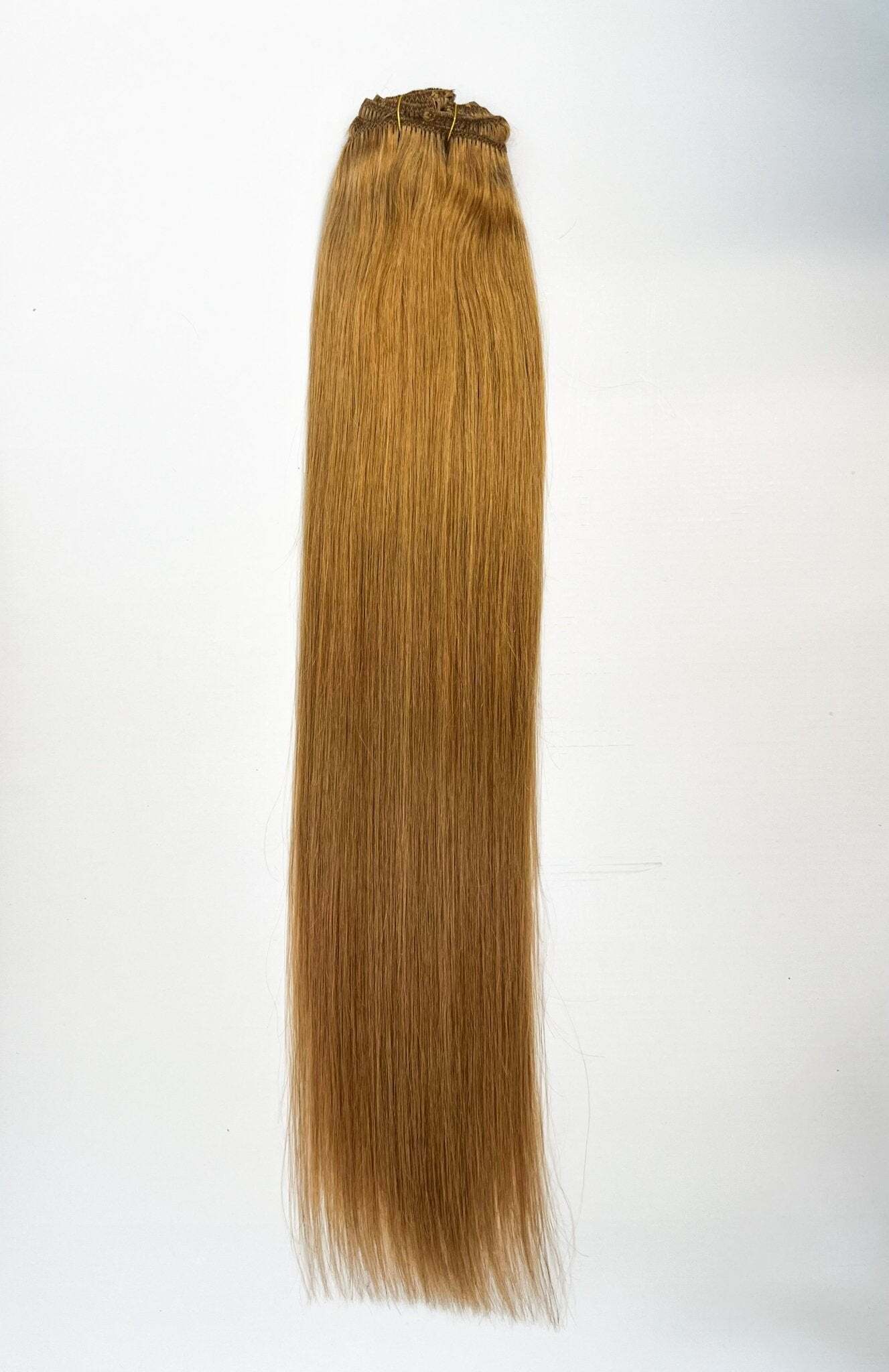 VIP Clip Extensions / Silky Straight 24" (170 g) - ClipeX System