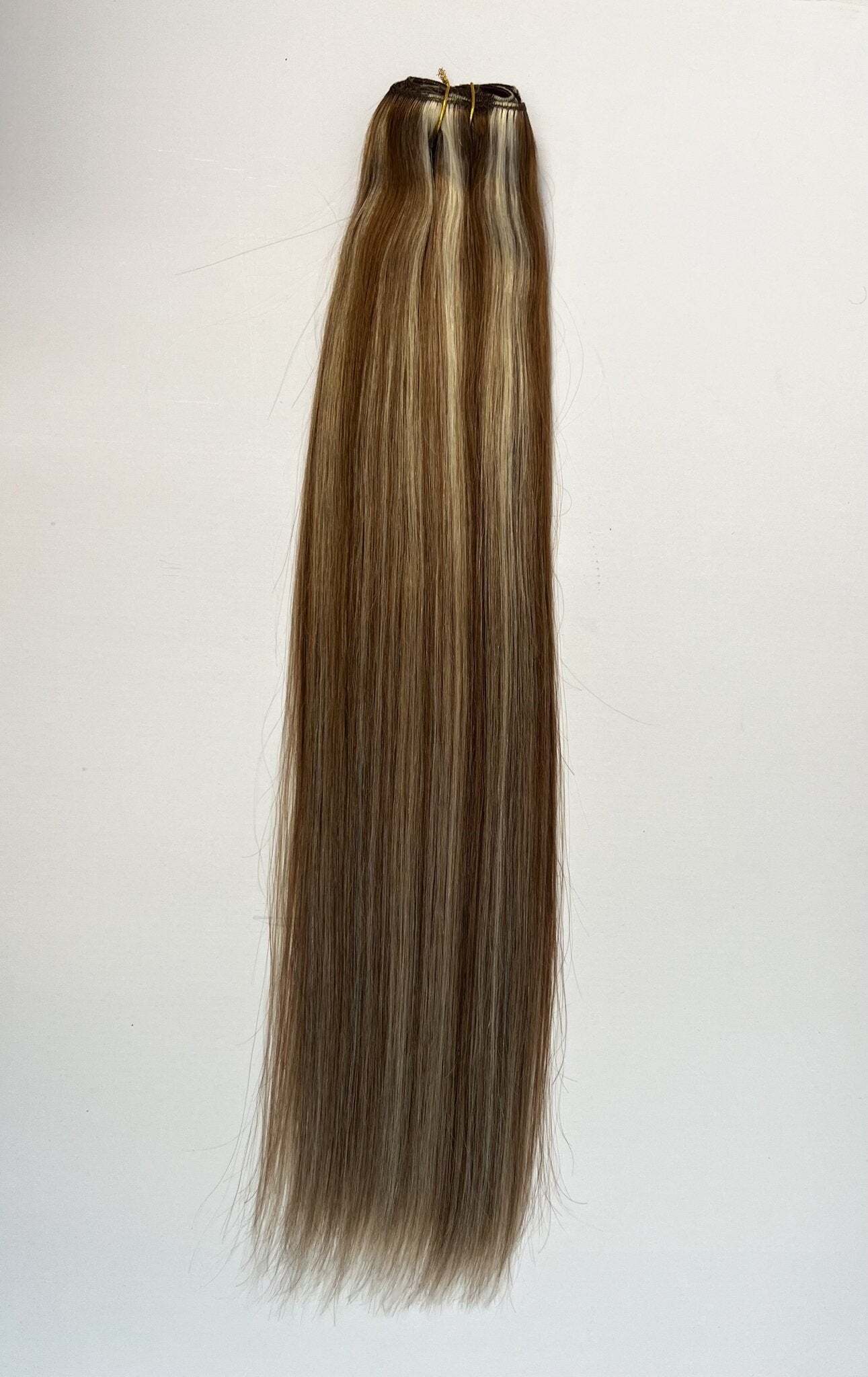 VIP Clip Extensions / Silky Straight 24" (170 g) - ClipeX System