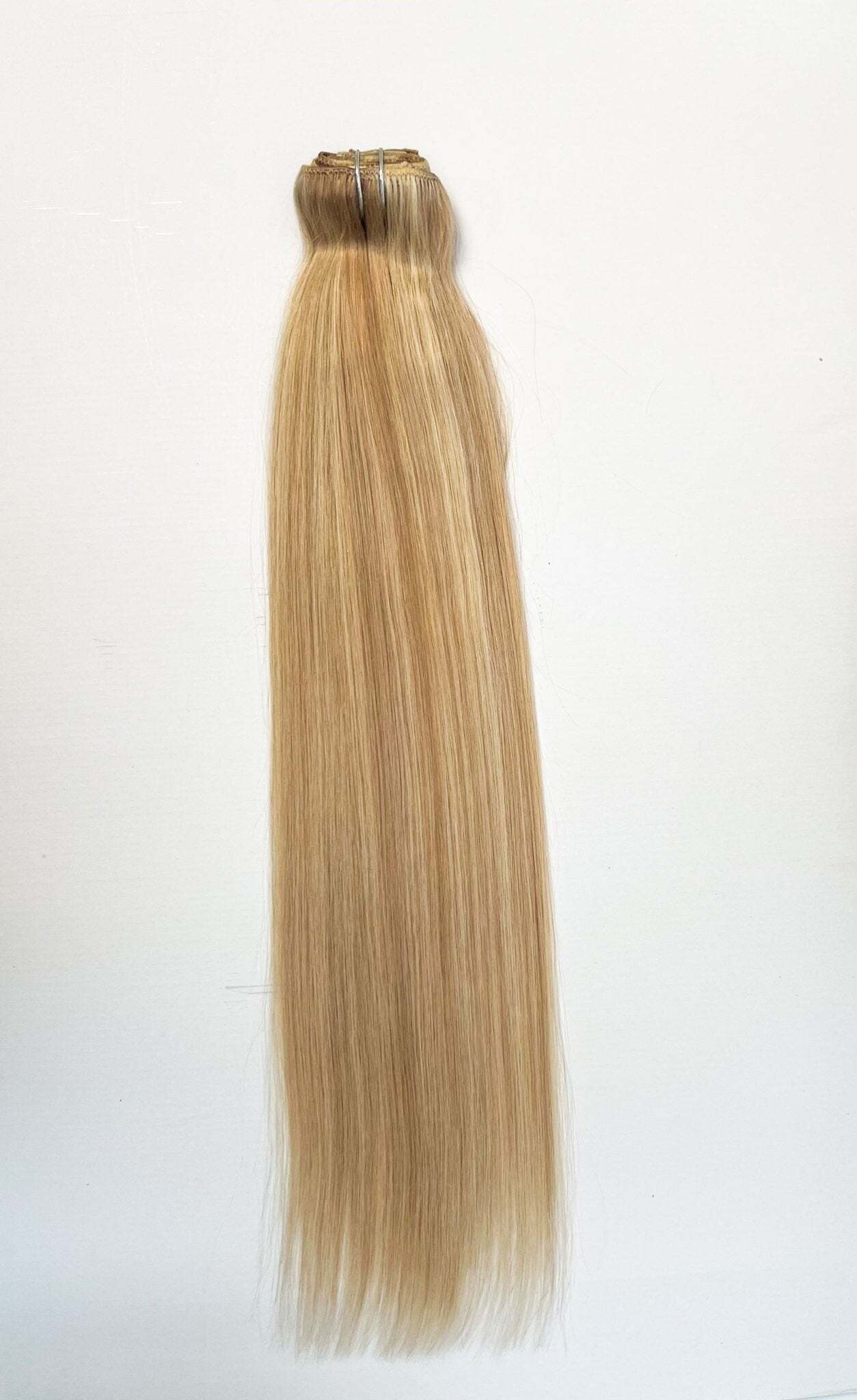 VIP Clip Extensions / Silky Straight 24" (170 g) - ClipeX System