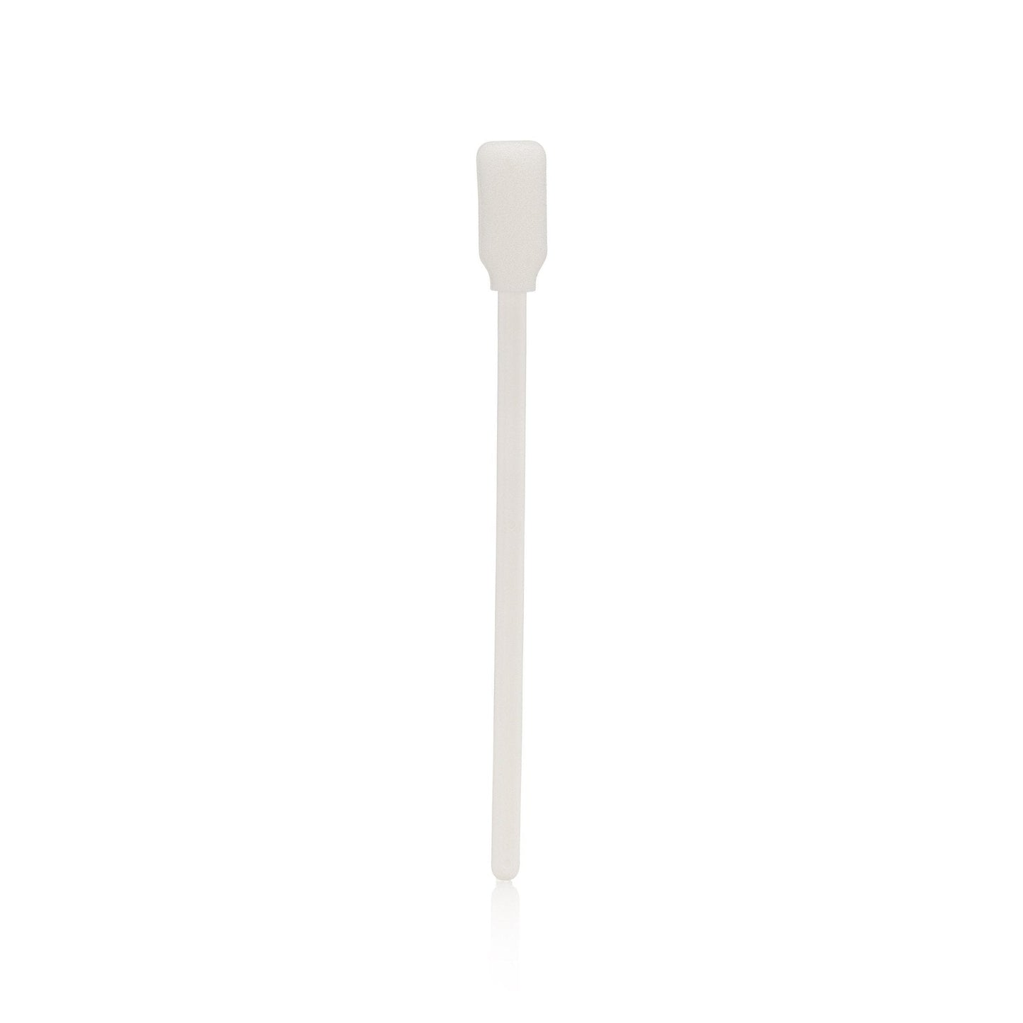 Walker Tape Brush and Sponge Glue Applicator