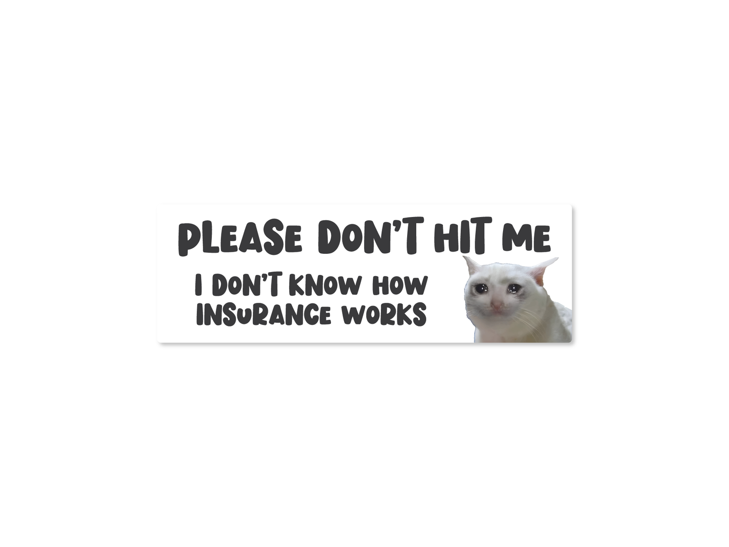 Please Don’t Hit Me, I Don’t Know How Insurance Works Cat Funny Bumper Sticker or Magnet