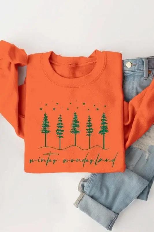 Accessories Color Bear Graphic Fleece Winter Unisex Sweatshirt: Cozy & Trendy!