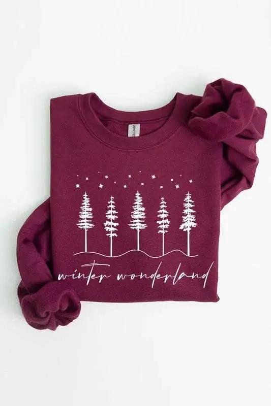Accessories Color Bear Graphic Fleece Winter Unisex Sweatshirt: Cozy & Trendy!