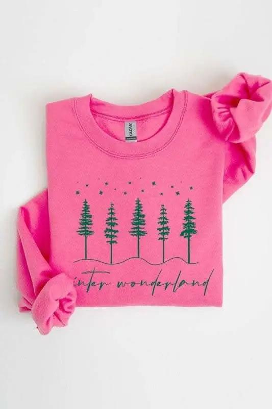 Accessories Color Bear Graphic Fleece Winter Unisex Sweatshirt: Cozy & Trendy!