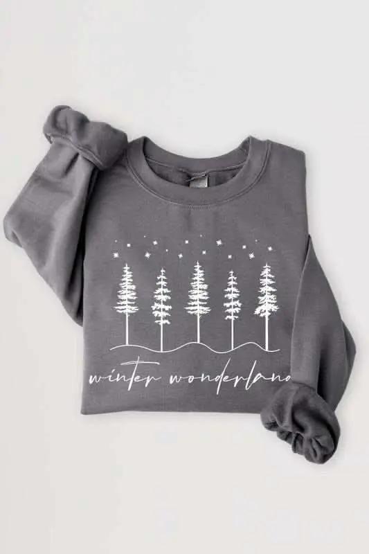 Accessories Color Bear Graphic Fleece Winter Unisex Sweatshirt: Cozy & Trendy!