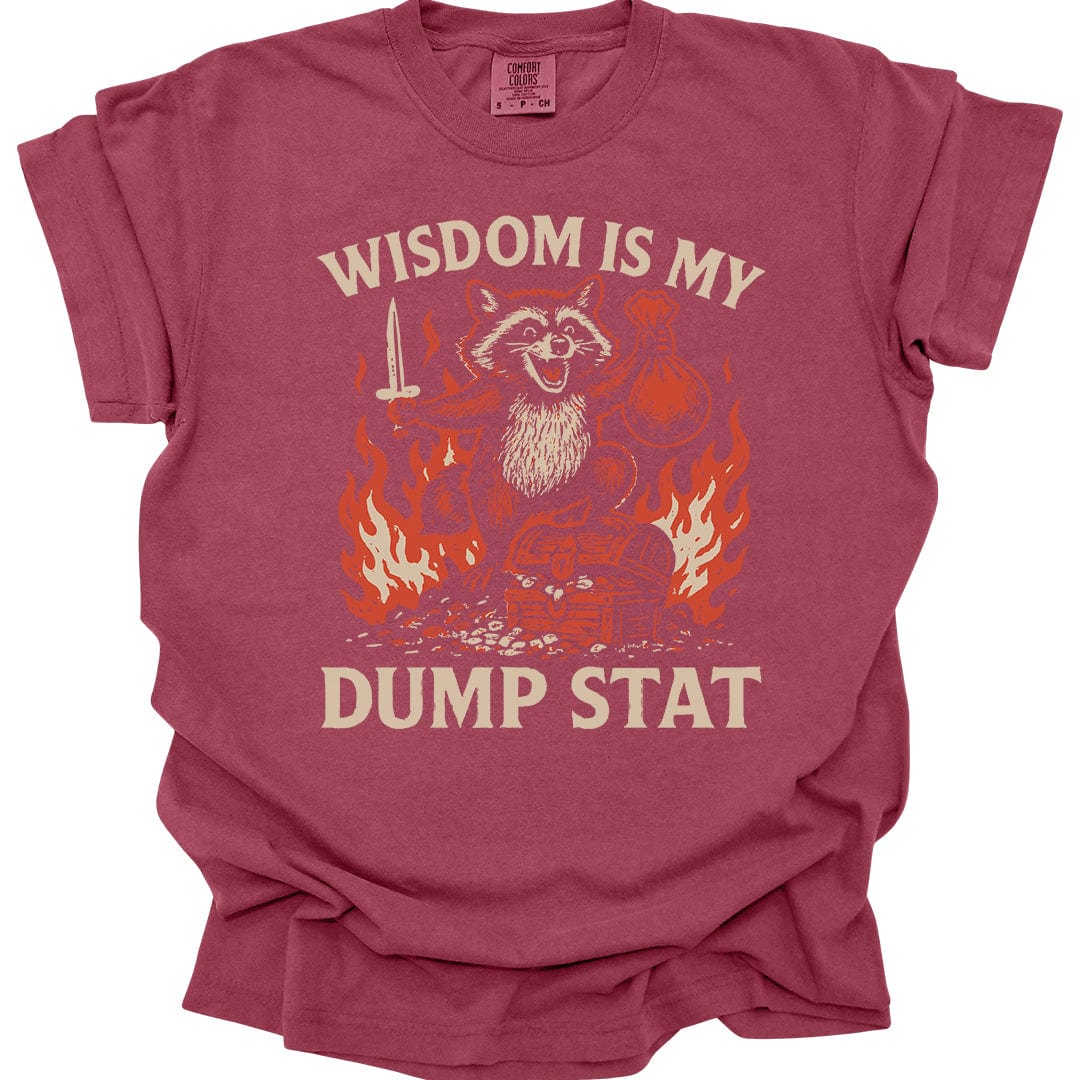 Wisdom Is My Dump Stat D&D T-Shirt - Comfort Colors