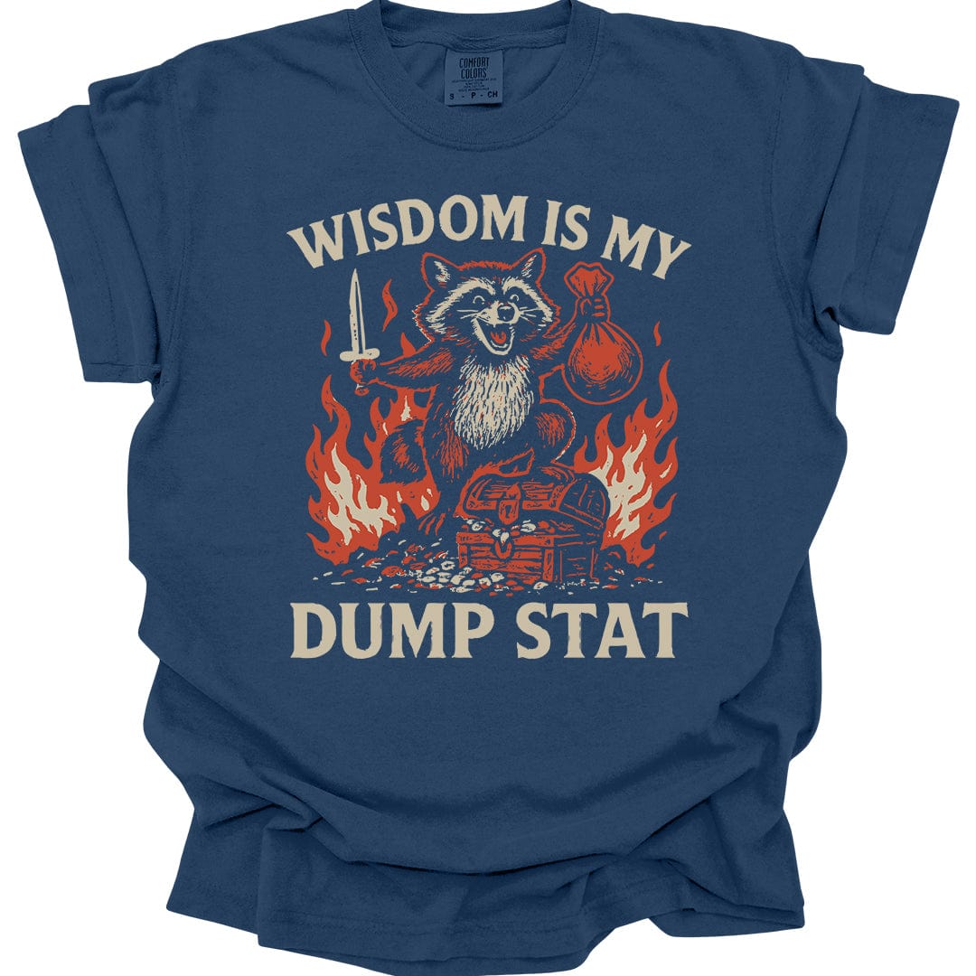 Wisdom Is My Dump Stat D&D T-Shirt - Comfort Colors
