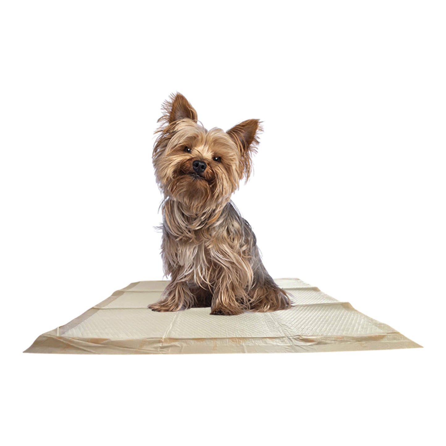 Empapadores de entrenamiento WizSmart Essentials para perros grandes y cachorros