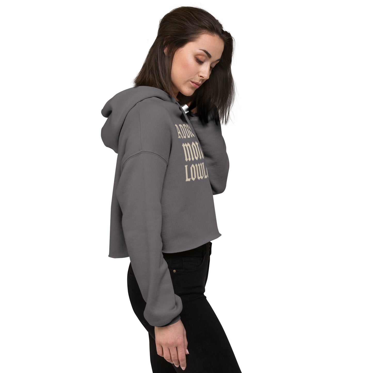 Addicted Crop Hoodie